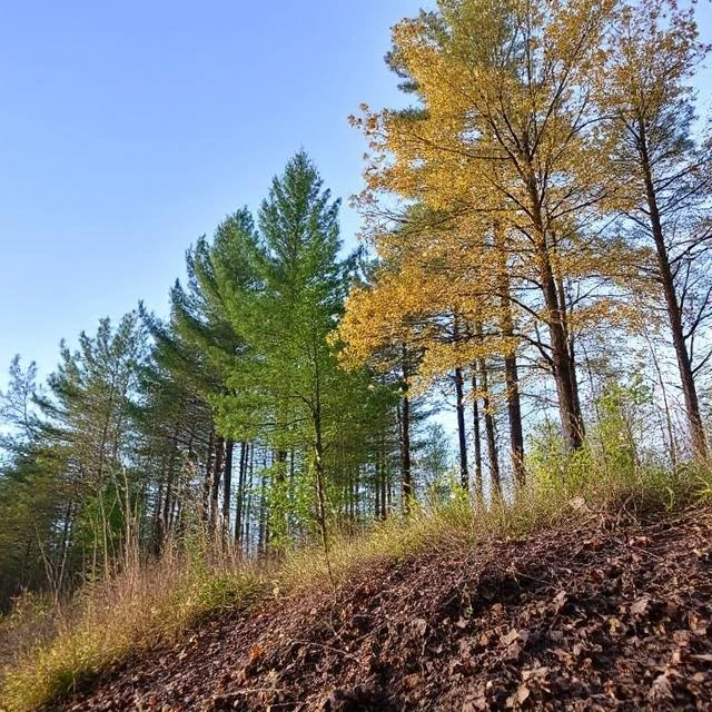 Services de renouvellement et de modification des permis environnementaux